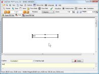 A screenshot of the program PDF-Forms 3.0